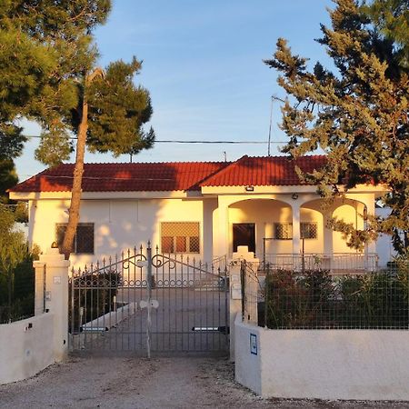 B&B Villa Vittorio Galatone Bagian luar foto